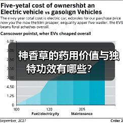 神香草的药用价值与独特功效有哪些?(图4) 神香草的药用价值与独特功效有哪些?(图4)