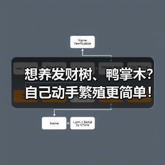想养发财树、鸭掌木?自己动手繁殖更简单!(图3) 想养发财树、鸭掌木?自己动手繁殖更简单!(图3)