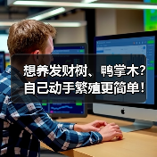 想养发财树、鸭掌木?自己动手繁殖更简单!(图1) 想养发财树、鸭掌木?自己动手繁殖更简单!(图1)