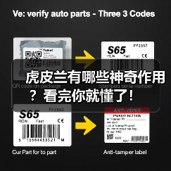 虎皮兰有哪些神奇作用？看完你就懂了！（图4）