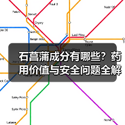 石菖蒲成分有哪些？药用价值与安全问题全解析（图4）