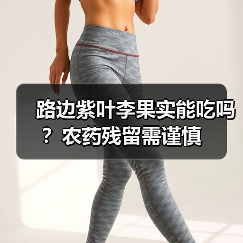 路边紫叶李果实能吃吗？农药残留需谨慎（图2）