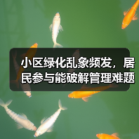 小区绿化乱象频发，居民参与能破解管理难题吗？（图2）