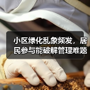 小区绿化乱象频发，居民参与能破解管理难题吗？（图4）