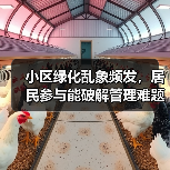 小区绿化乱象频发，居民参与能破解管理难题吗？（图3）