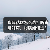 陶瓷花盆怎么选?听声辨好坏,材质如何选?(图3) 陶瓷花盆怎么选?听声辨好坏,材质如何选?(图3)