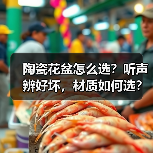 陶瓷花盆怎么选?听声辨好坏,材质如何选?(图2) 陶瓷花盆怎么选?听声辨好坏,材质如何选?(图2)