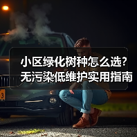 小区绿化树种怎么选?无污染低维护实用指南(图1) 小区绿化树种怎么选?无污染低维护实用指南(图1)