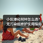 小区绿化树种怎么选?无污染低维护实用指南(图3) 小区绿化树种怎么选?无污染低维护实用指南(图3)