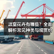 温室花卉有哪些?全面解析常见种类与观赏价值(图2) 温室花卉有哪些?全面解析常见种类与观赏价值(图2)