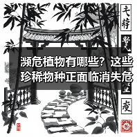 濒危植物有哪些?这些珍稀物种正面临消失危机(图1) 濒危植物有哪些?这些珍稀物种正面临消失危机(图1)