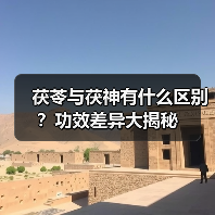 茯苓与茯神有什么区别?功效差异大揭秘(图2) 茯苓与茯神有什么区别?功效差异大揭秘(图2)