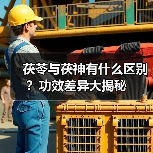 茯苓与茯神有什么区别?功效差异大揭秘(图1) 茯苓与茯神有什么区别?功效差异大揭秘(图1)