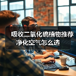 吸收二氧化硫植物推荐 净化空气怎么选(图3) 吸收二氧化硫植物推荐 净化空气怎么选(图3)