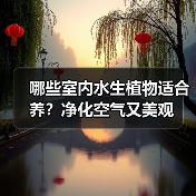 哪些室内水生植物适合养？净化空气又美观（图4）