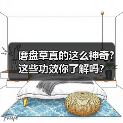 磨盘草真的这么神奇？这些功效你了解吗？（图3）