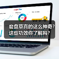 磨盘草真的这么神奇？这些功效你了解吗？（图4）