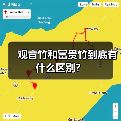 观音竹和富贵竹到底有什么区别？（图4）