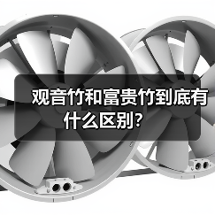 观音竹和富贵竹到底有什么区别？（图2）