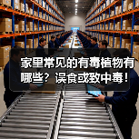 家里常见的有毒植物有哪些？误食或致中毒！（图1）