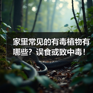 家里常见的有毒植物有哪些？误食或致中毒！（图4）