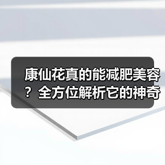 康仙花真的能减肥美容？全方位解析它的神奇功效（图3）