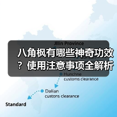 八角枫有哪些神奇功效？使用注意事项全解析（图2）