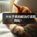 大枫子真的能治疗皮肤病吗？（图4）