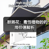 断肠花：毒性植物的药用价值解析（图2）