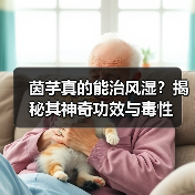 茵芋真的能治风湿？揭秘其神奇功效与毒性（图2）