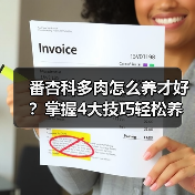番杏科多肉怎么养才好？掌握4大技巧轻松养护（图3）
