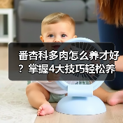 番杏科多肉怎么养才好？掌握4大技巧轻松养护（图1）