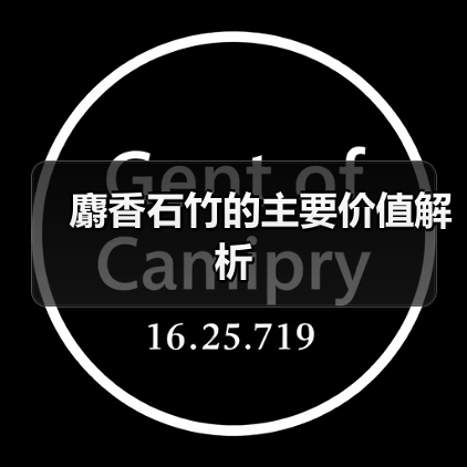 麝香石竹的主要价值解析（图1）