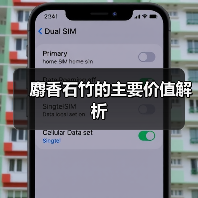 麝香石竹的主要价值解析（图2）