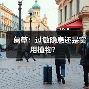 葛草：过敏隐患还是实用植物？（图3）