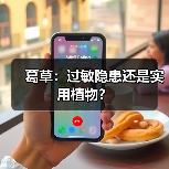 葛草：过敏隐患还是实用植物？（图1）