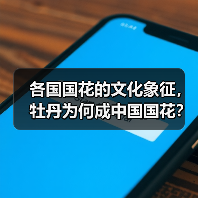 各国国花的文化象征，牡丹为何成中国国花？（图1）