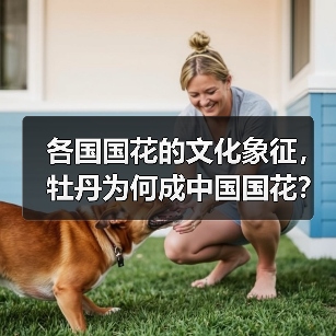 各国国花的文化象征，牡丹为何成中国国花？（图3）