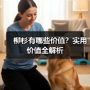 柳杉有哪些价值？实用价值全解析（图1）