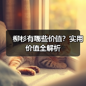柳杉有哪些价值？实用价值全解析（图4）