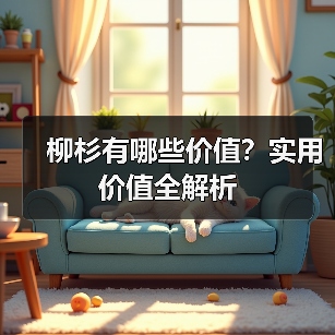 柳杉有哪些价值？实用价值全解析（图2）